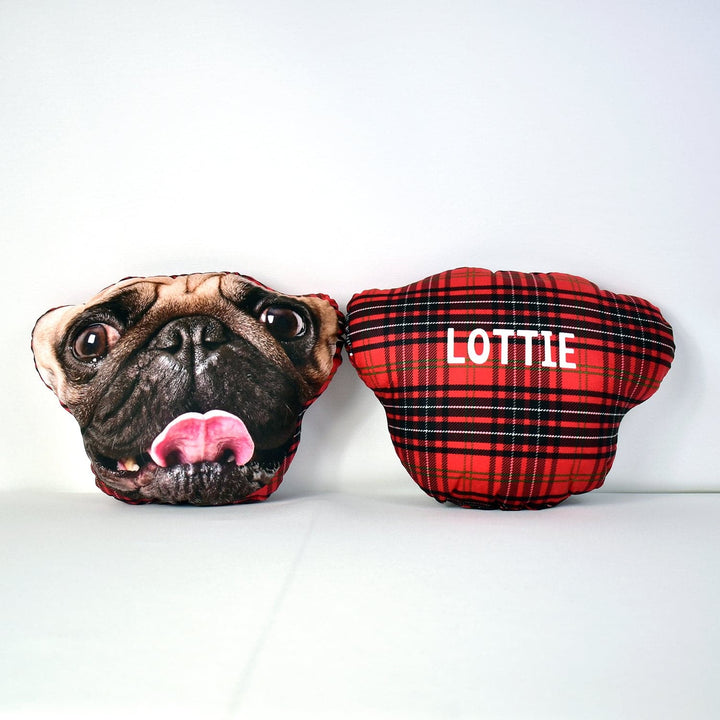 Pet Face Cushion - Red Tartan