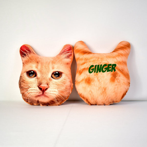 Pet Face Cushion - Ginger Fur