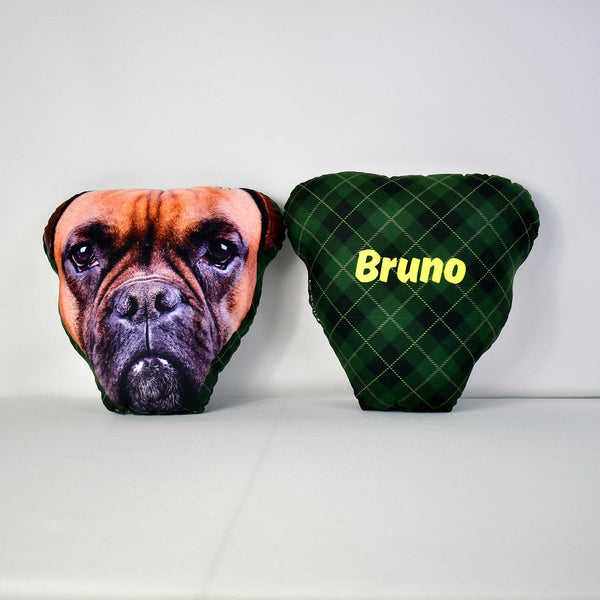 Pet Face Cushion - Green Tartan