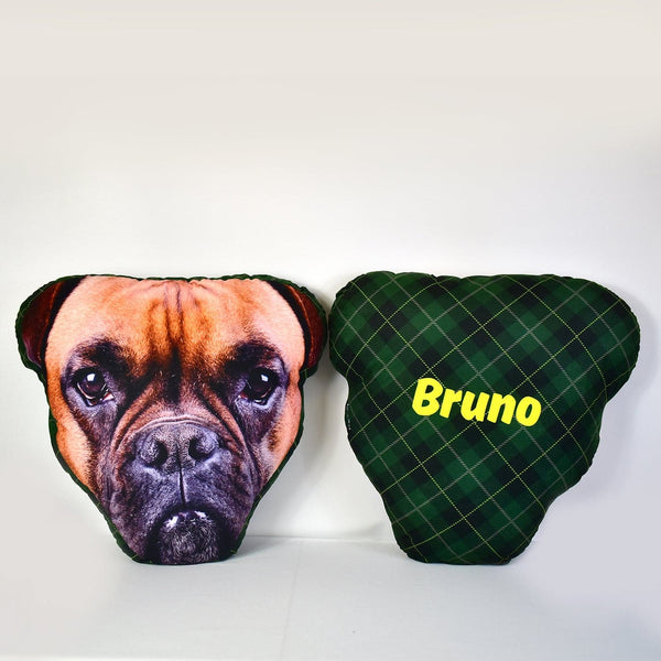 Mega Pet Face Cushion - Green Tartan