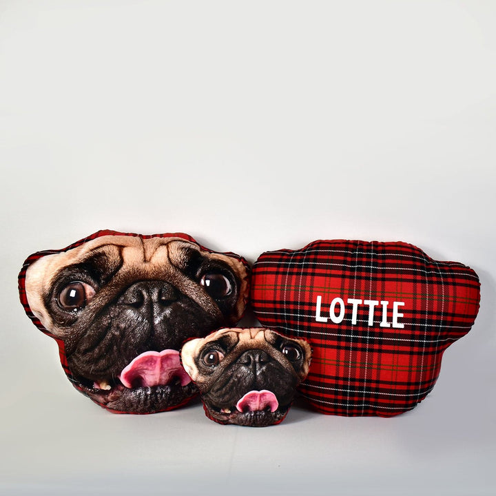 Pet Face Cushion - Red Tartan