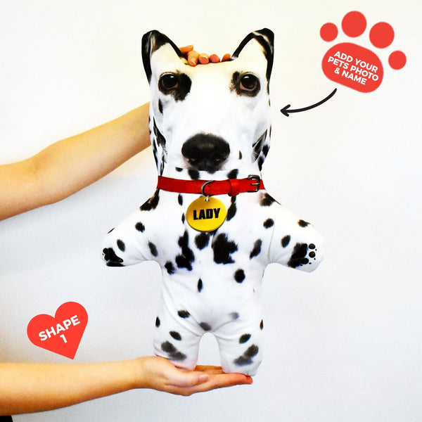 Dalmatian - Personalised Pet Mini Me