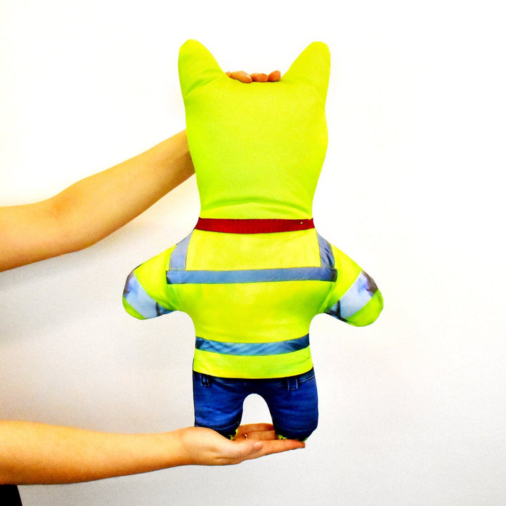 Superhero - Personalised Pet Mini Me