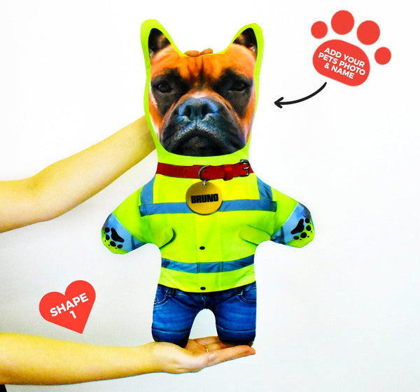 Superhero - Personalised Pet Mini Me