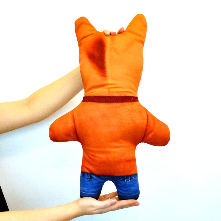 Orange Hoodie - Personalised Pet Mini Me