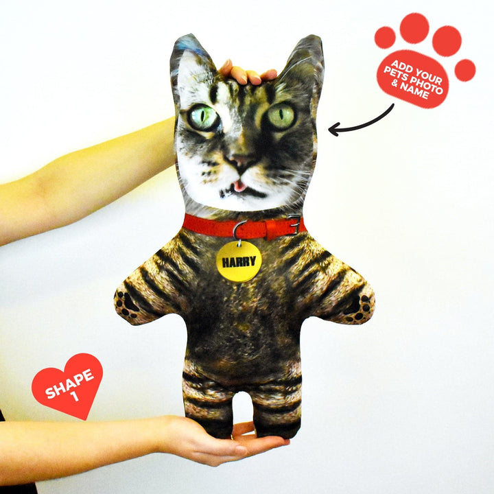 Tabby Cat Fur - Personalised Pet Mini Me