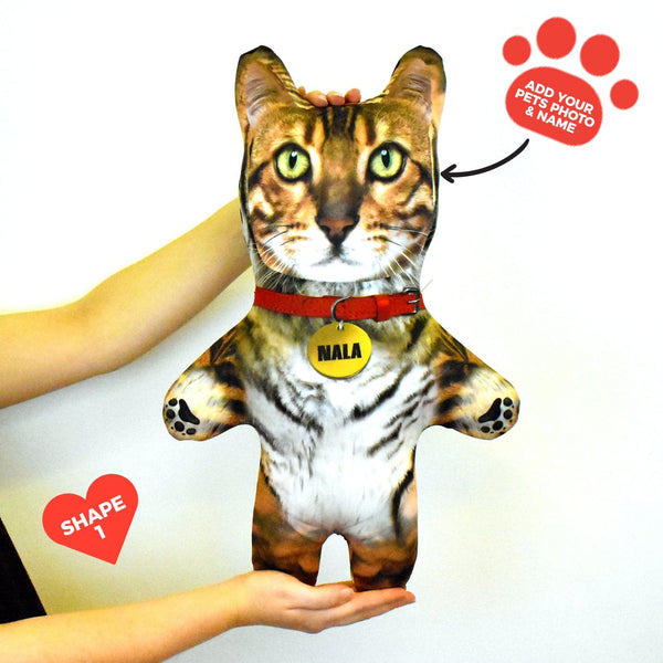 Tiger - Personalised Pet Mini Me