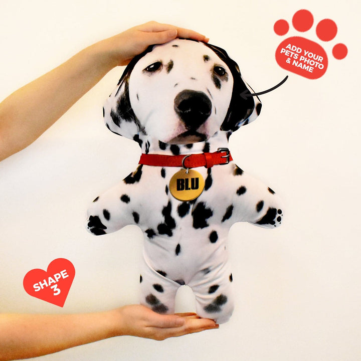 Dalmatian - Personalised Pet Mini Me