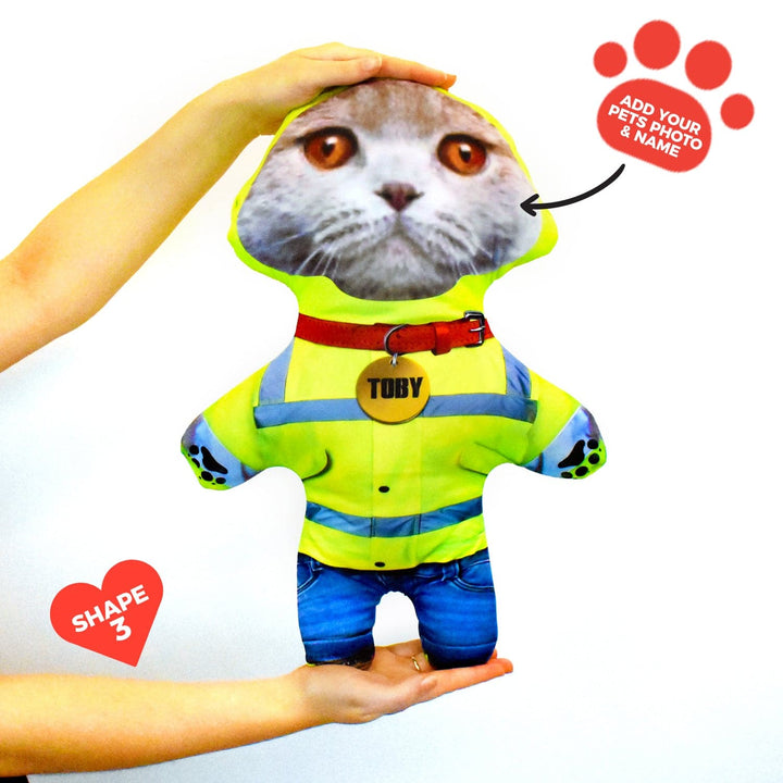 Superhero - Personalised Pet Mini Me