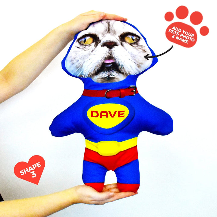 Superhero - Personalised Pet Mini Me